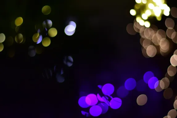 カジノ ダンスク 777 サポート